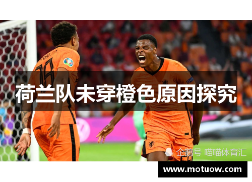 荷兰队未穿橙色原因探究