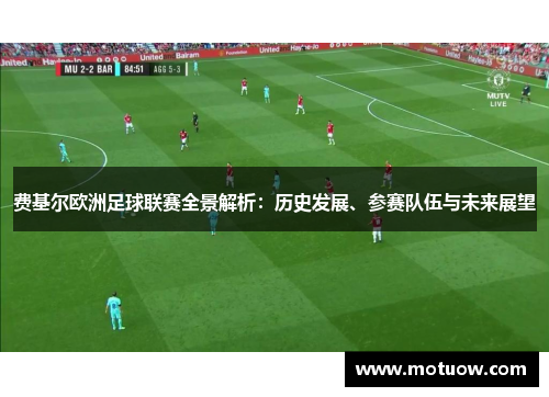 费基尔欧洲足球联赛全景解析：历史发展、参赛队伍与未来展望